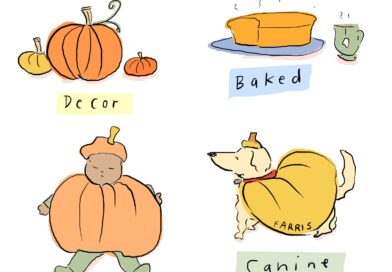 Choose Your Pumpkin