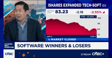 AI disruption could spark a ‘shock to the system’ in credit markets, UBS analyst says