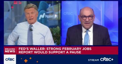 Fed’s Goolsbee calls for a hold on cuts as current rate of inflation is ‘not good enough’