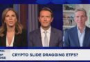 In bitcoin price plummet, ETF flows are down but aren’t signaling ‘crypto winter’ investor panic