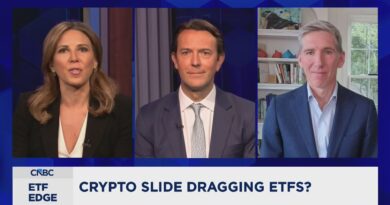 In bitcoin price plummet, ETF flows are down but aren’t signaling ‘crypto winter’ investor panic