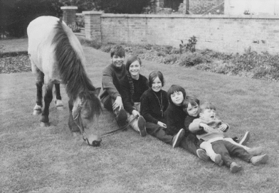 Where Are You in the Birth Order?