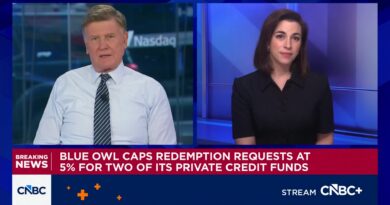 Blue Owl caps private credit funds redemptions at 5% after steep request levels