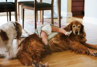 Everything You Do Is Good.