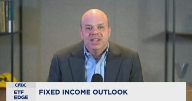 How bond market’s private credit crisis fears are playing out in fixed-income ETFs