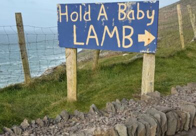 Tell Me Something Lovely.