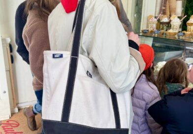 The Iconic Bag I Spot Everywhere