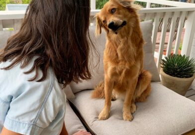 What Are Your Pets’ Names?