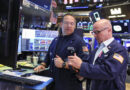 One of the market’s hottest stock themes is buying everything AI can’t replace