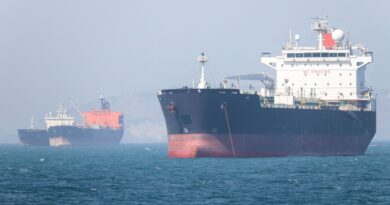 Trump pauses U.S. bid to guide ships out of Strait of Hormuz, cites Iran deal progress