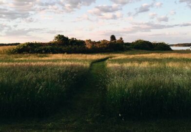Have a Lovely (Long) Weekend.