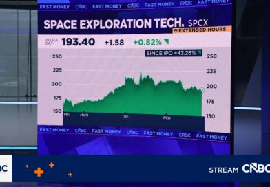 SpaceX adds longtime Elon Musk ally Roelof Botha to board