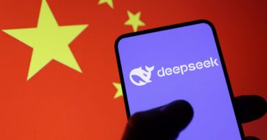 Goldman Sachs picks its favorite Chinese AI models