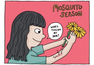 Mosquito Season