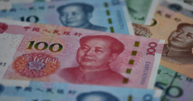 China is defying the global bond yield surge, boosting its diversification appeal