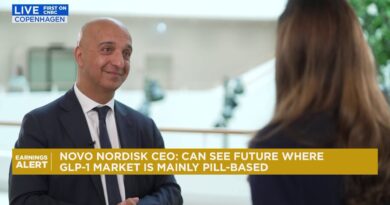 Novo Nordisk CEO defends economics of Wegovy pill as lower prices weigh on sales; shares fall