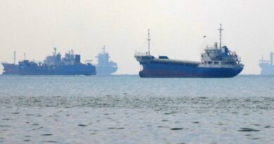 Container ship sinks in Strait of Hormuz as Iran steps up attacks