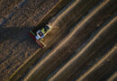 The world needs Ukraine’s grain. Its farmers are running out of reasons to plant
